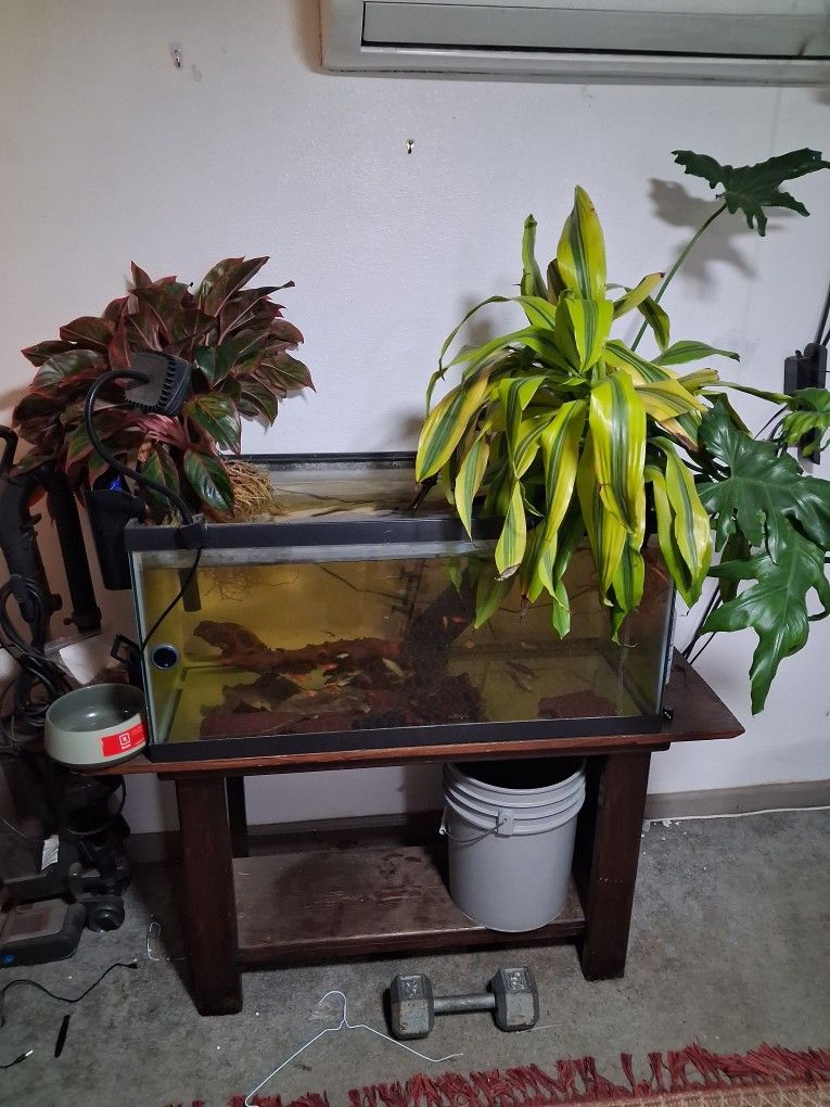40 Gallon Wide Aquarium Tank