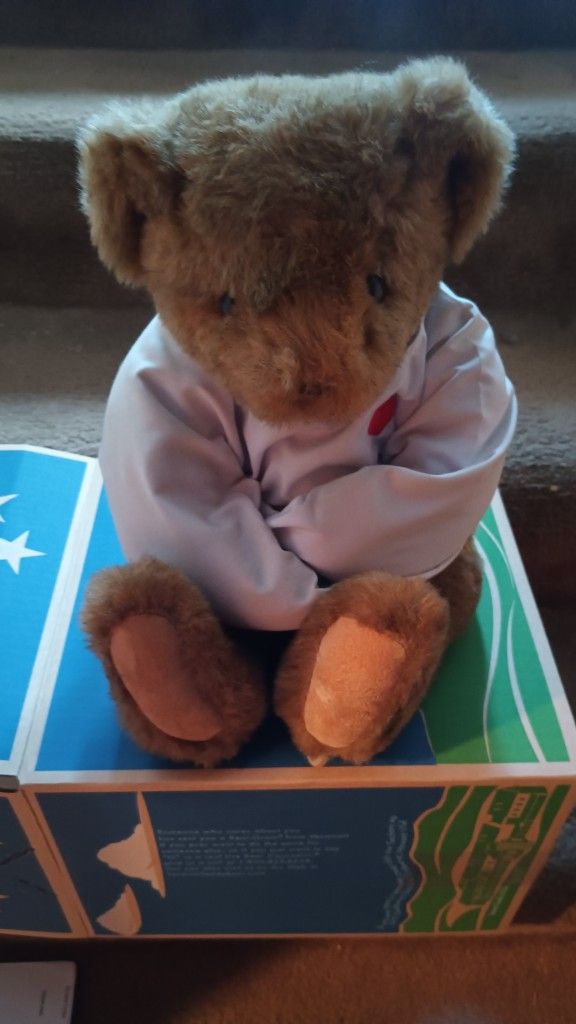 Rare "Crazy For You" Vermont Teddy Bears