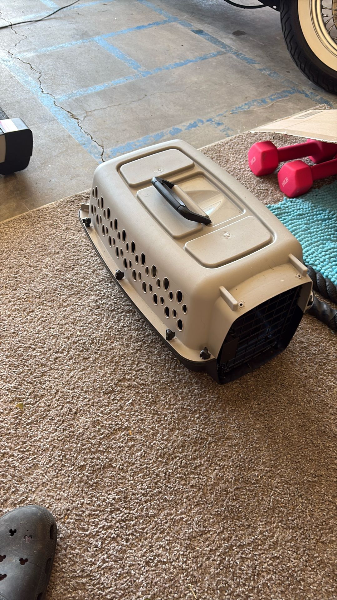 Carry Dog Kennel. Small Dogs Or Cat.