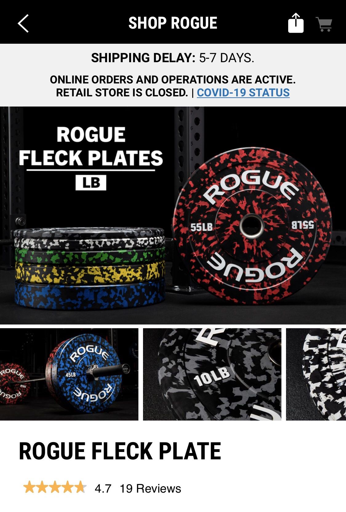 Fleck rogue store
