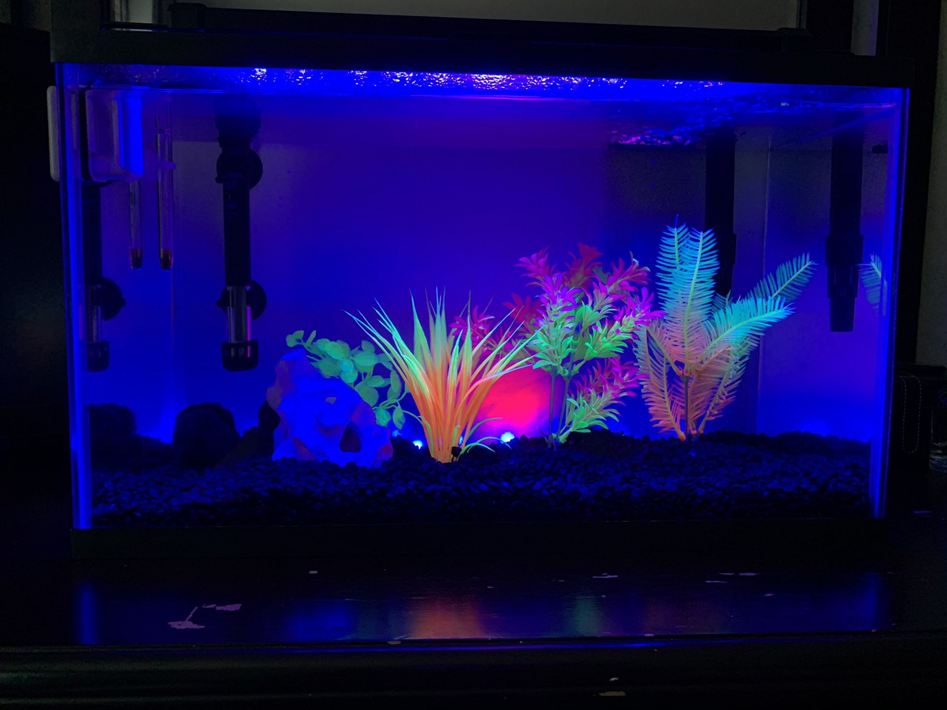 Glow fish tank