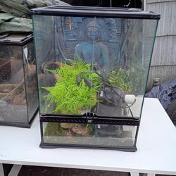 Pet Tank 