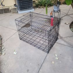 Medium Size Dog Cage