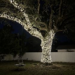 Chrstmas Lights Installation 