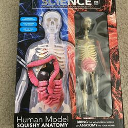 Unbelievable Science Human Body Squishy Anatomy