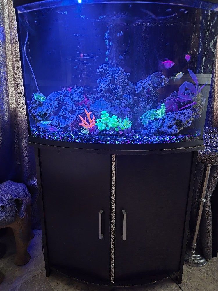 Fish tank