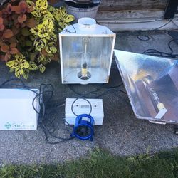 Grow Lights For All Your Growing Needs