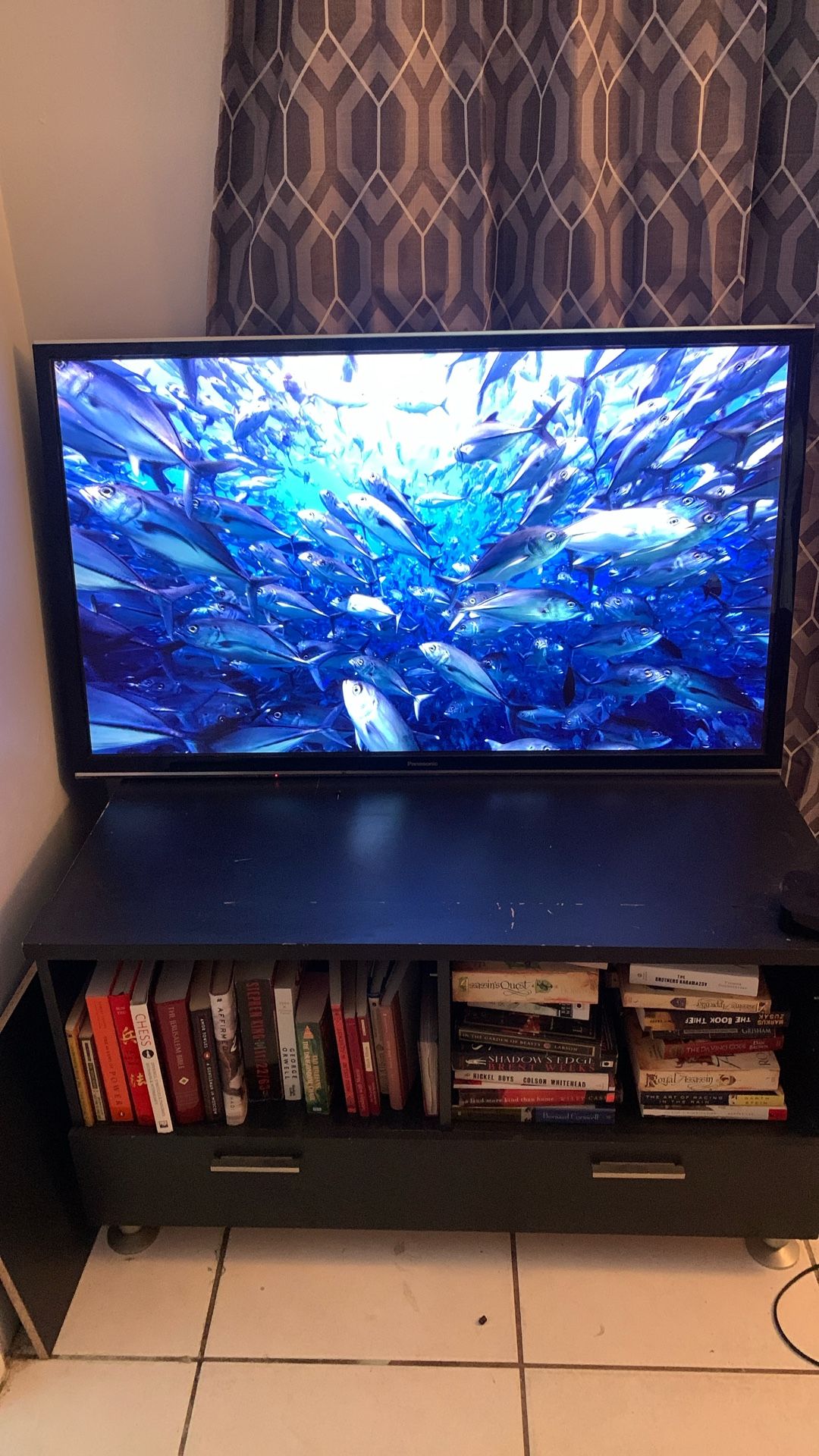 55” Panasonic Plasma Flat Screen TV