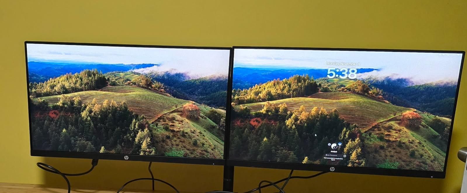 Computer Monitors