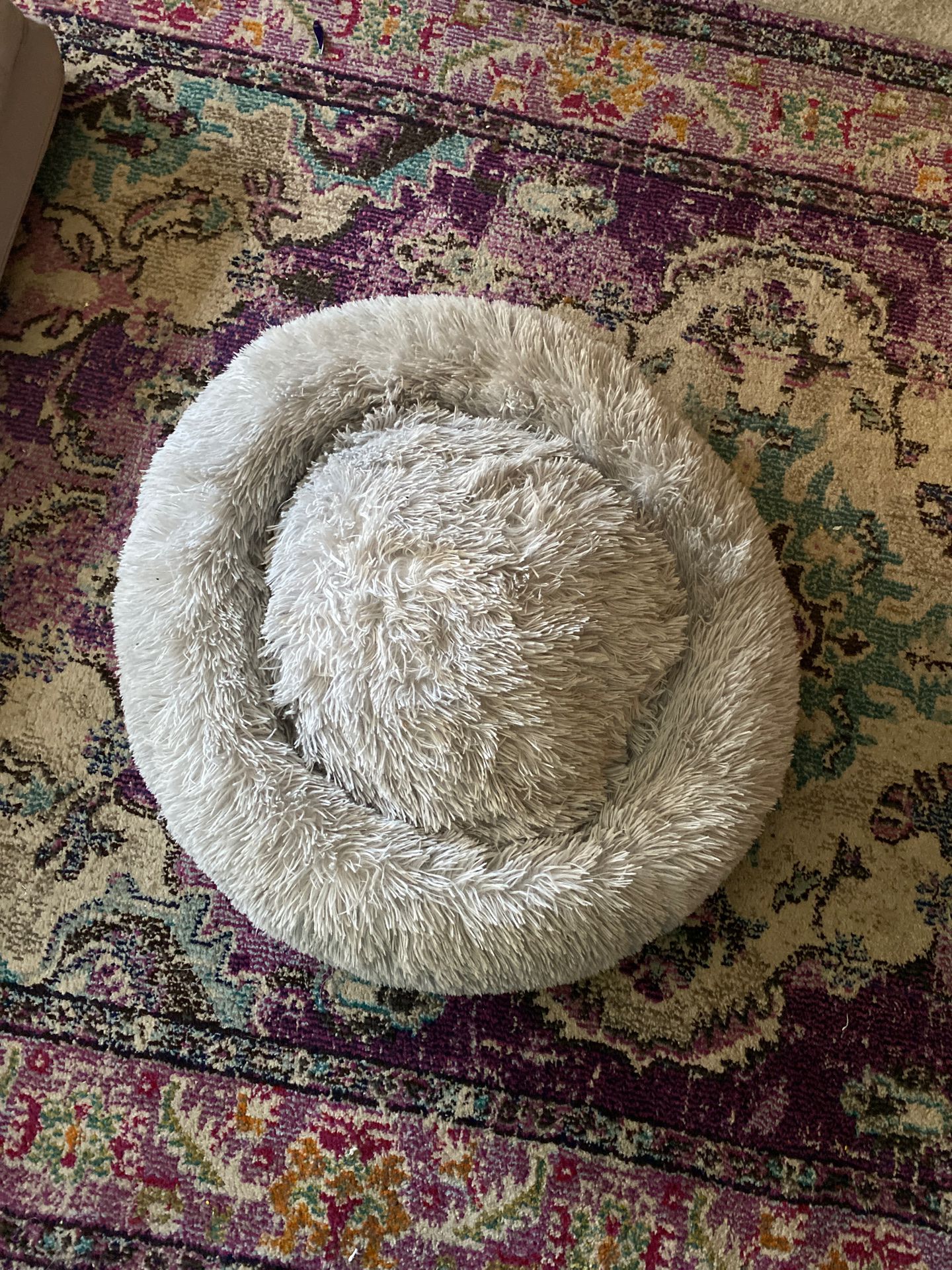 Luxury Dream dog bed