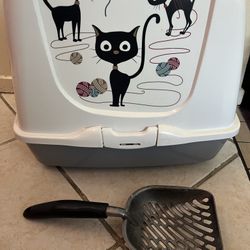 Kitten Litter Box 