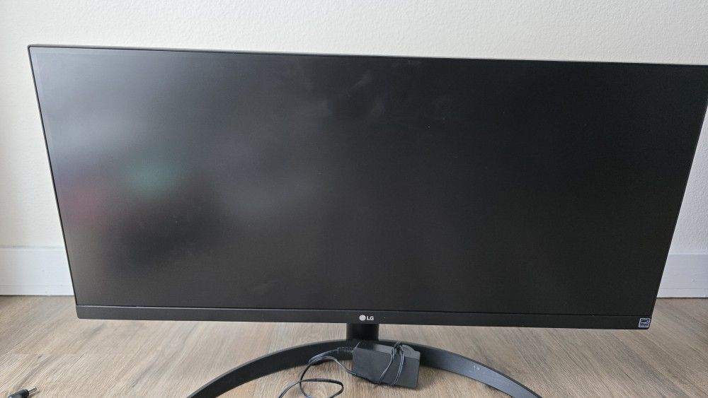 LG 29” UltraWide Full HD Monitor (29WP500)