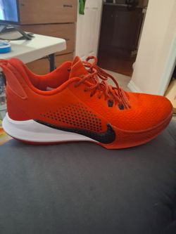 Mamba fury