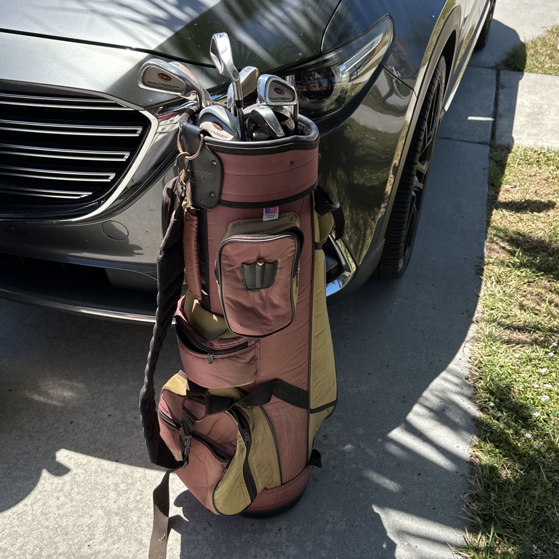 Golf Clubs (miscellaneous) With Bag