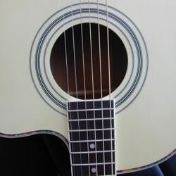 Berkeley Maple Back & Sides Solid Spruce GUITAR