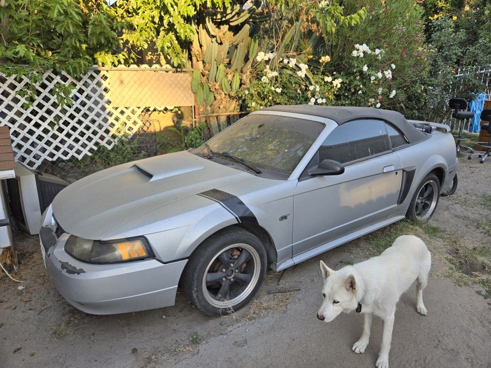 2001 Ford Mustang