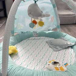 Carter’s Play Gym
