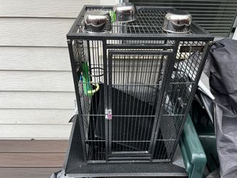 Bird Cage
