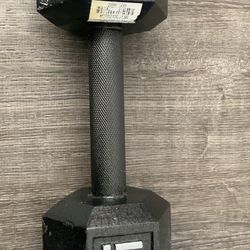 15 lb Cast Iron Dumbbell – Sports Authority