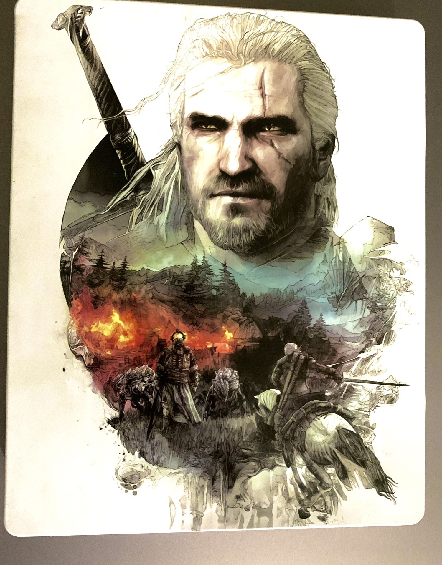 Witcher 3 Wild Hunt