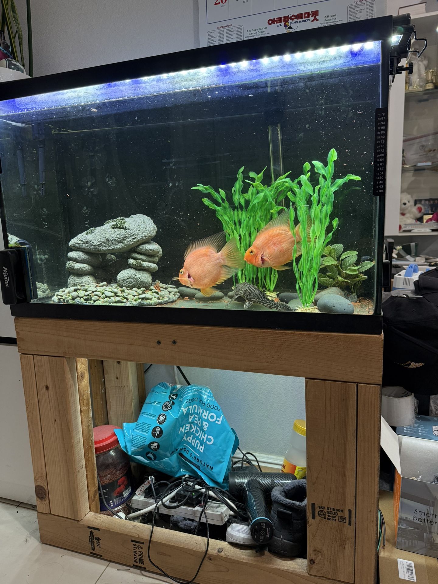 30 Gallons Fish Tank