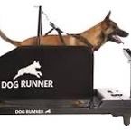 Dog Runner Treadmill