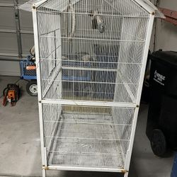 Bird Cage 