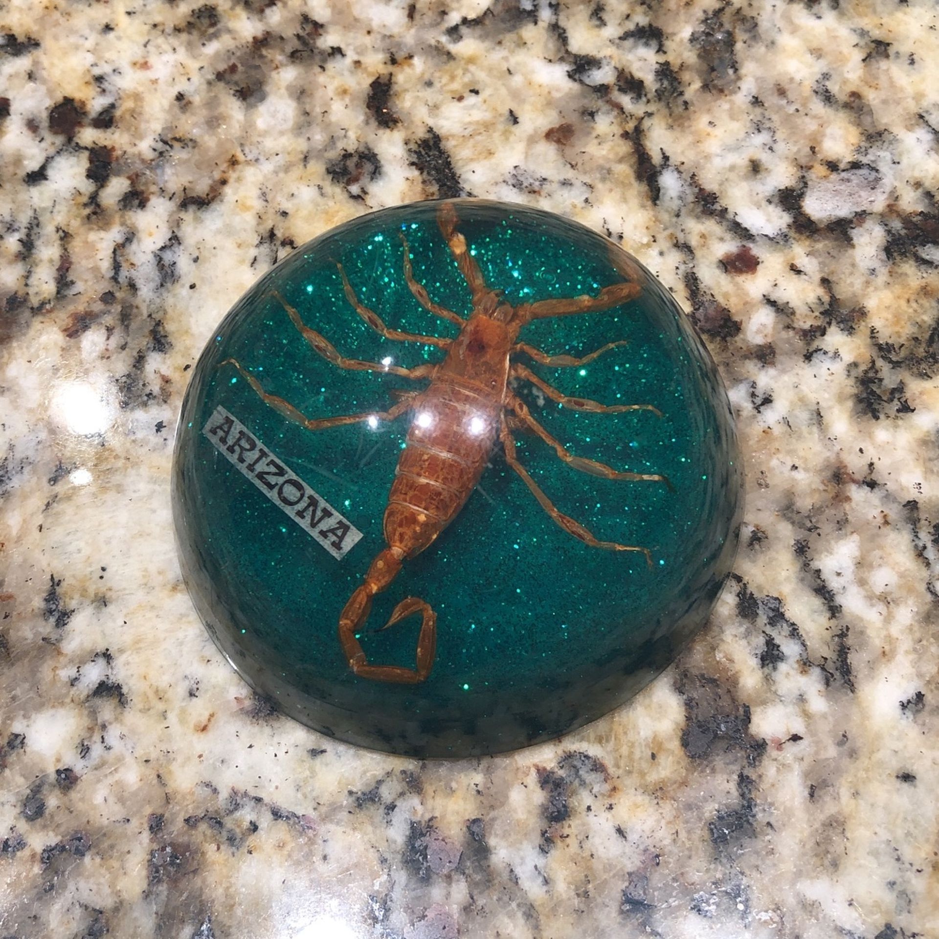 Arizona Scorpion Encapsulated Paperweight