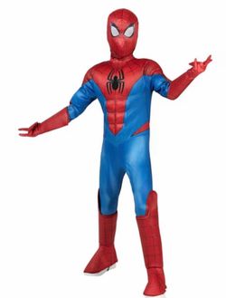 Spider -man small