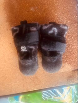 Doggie shoes/XXP