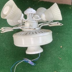 Light Fixture
