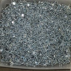 Self Tapping Screws 