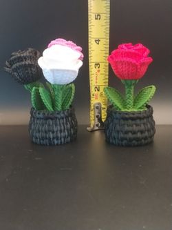 Mothers Day Rose Storage Container