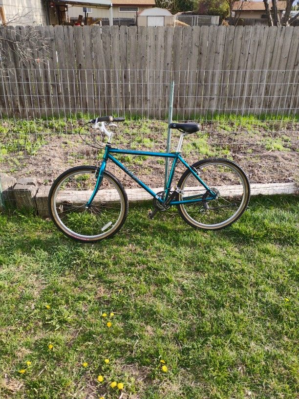 Trek Street Bike