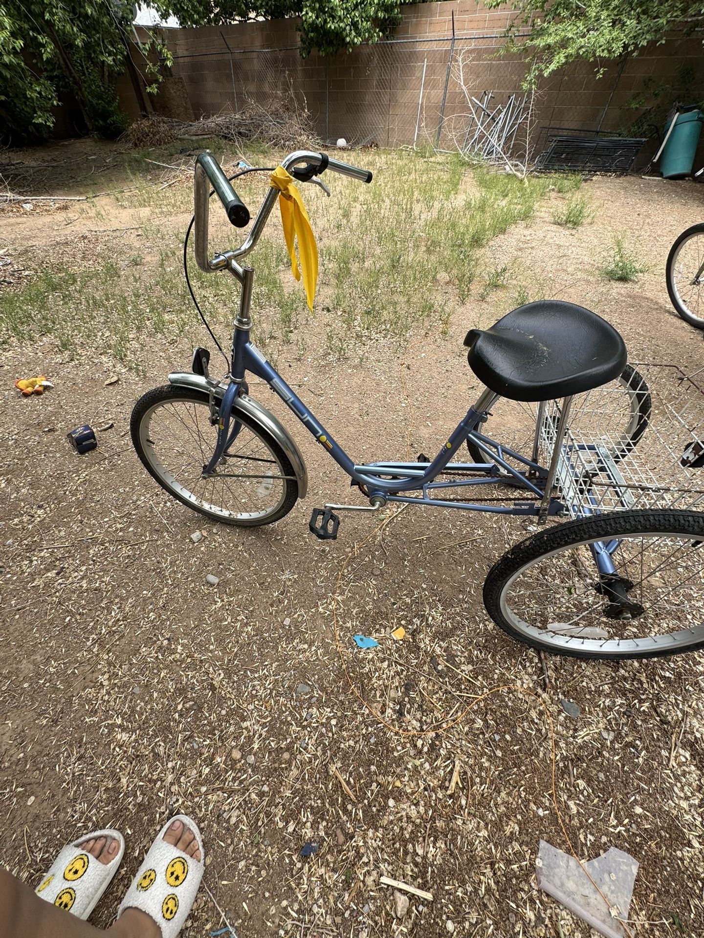 Vintage Miami Sun Adult Trike for Sale