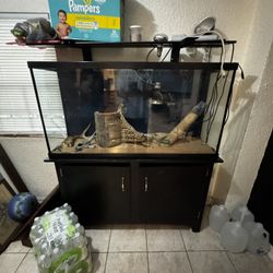 Large Fish Tank With Standing Lights