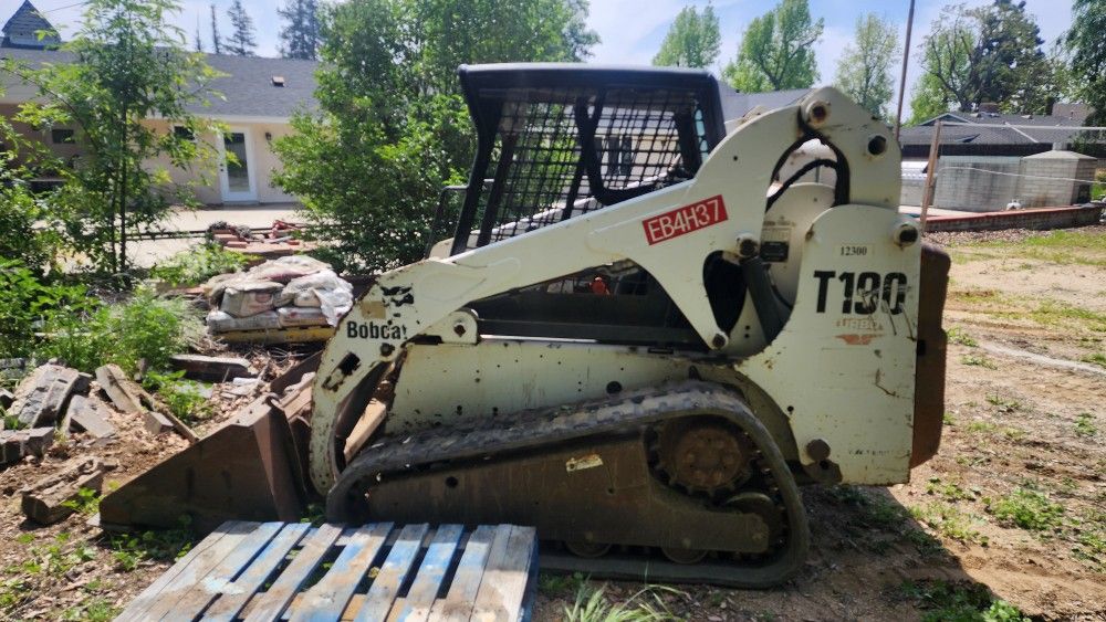 Bobcat