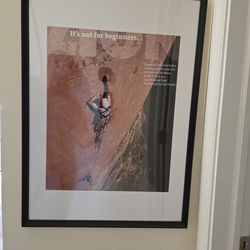 Framed Poster 20" " 28"