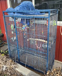 Bird cage, as is
