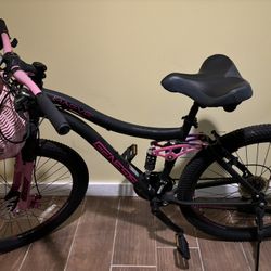 Mountain Bike $220