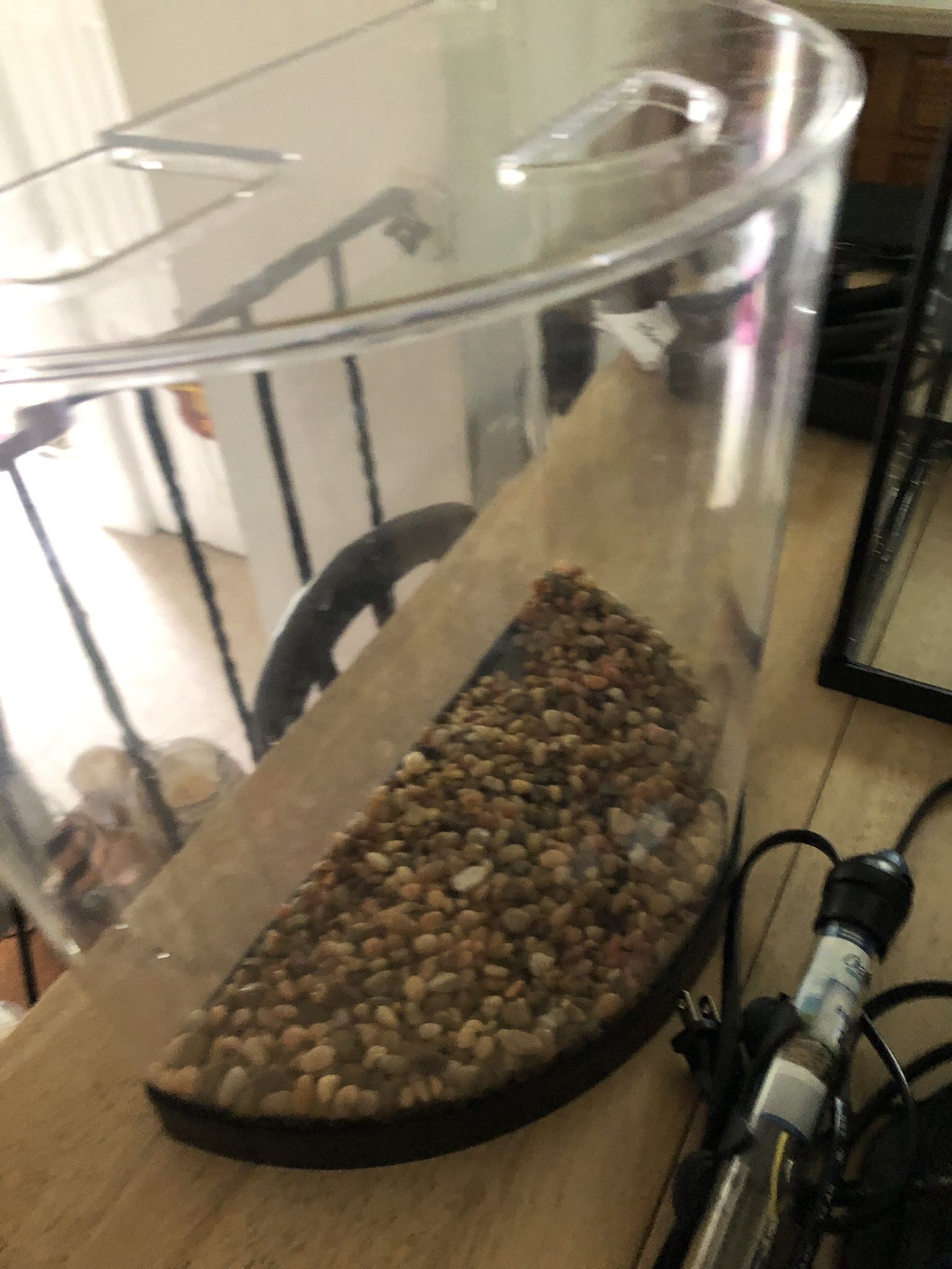 2.5 Gallon Aquarium