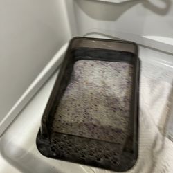 RESCUED LARGE PICKY CAT