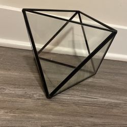 West Elm Terrarium Planter