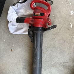 Electric Blower 