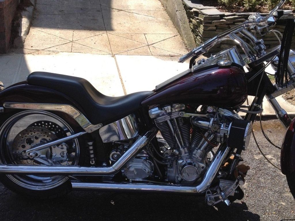 Harley Davidson Wide Glide By Indian Larry