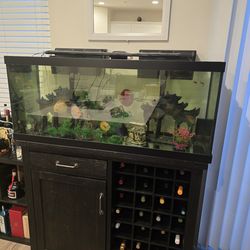 Decorations, Supplies, Equipment