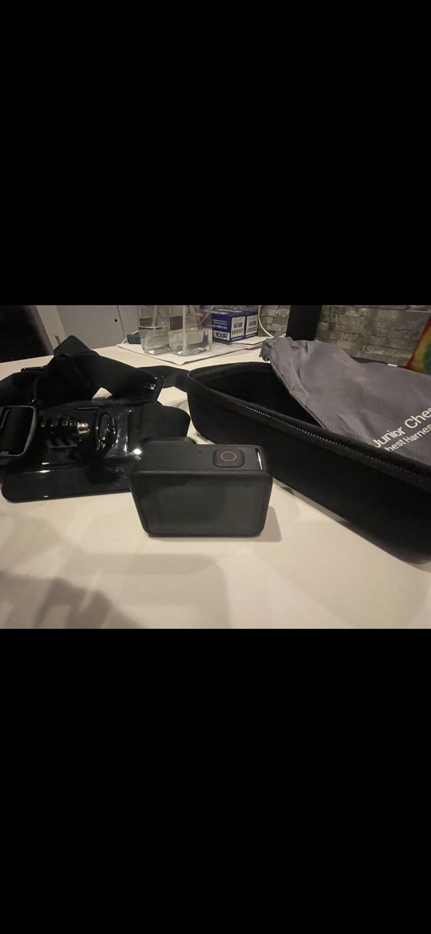 GoPro Hero 10 Condition New Chesty Strap Carrying Case And charger