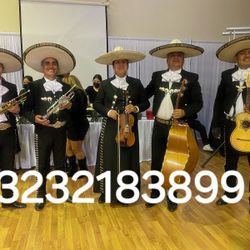 Mariachi Los Gavilanes