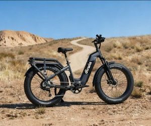Dirwin Pioneer Long Range Fat Tire Electric Bike