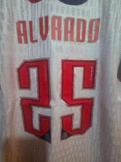 Chivas Guadalajara Alvarado #25 Soccer Jersey